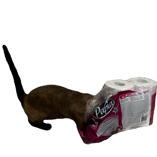 Sticker FileOFish6 - 1