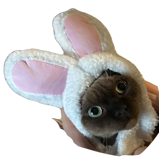 Sticker FileOFish6 - 1