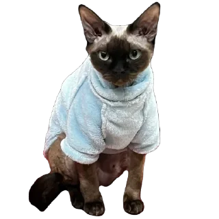 Sticker Филе-о-Фиш - 2