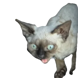 Sticker Филе-о-Фиш - 6