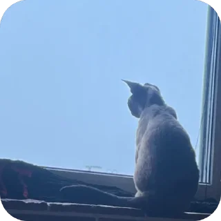 Sticker Филе-о-Фиш - 3