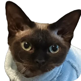 Sticker Филе-о-Фиш - 11