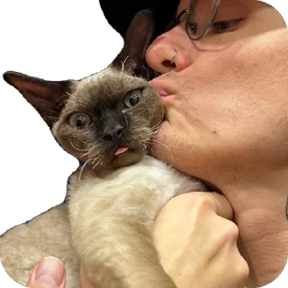 Sticker Филе-о-Фиш - 5