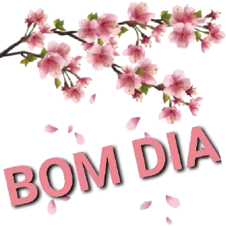 Sticker Val Virtuosa🌷 - 3