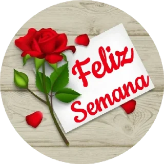 Sticker Val Virtuosa🌷 - 6