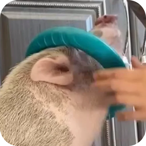 Sticker FilippKarterovich - 1