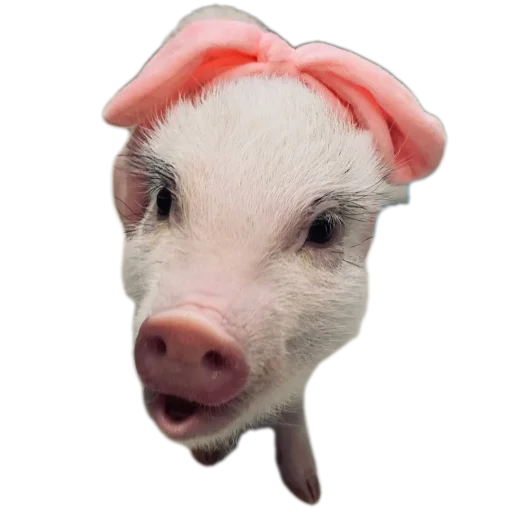 Стикер FilippKarterovich - 1