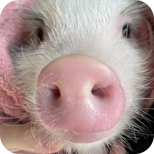 Sticker FilippKarterovich - 1