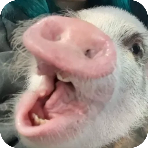 Sticker FilippKarterovich - 1