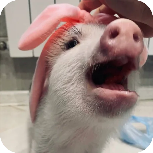 Sticker FilippKarterovich - 1