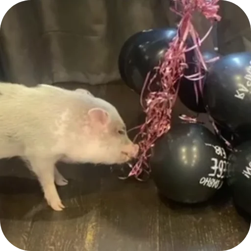 Стикер FilippKarterovich - 1