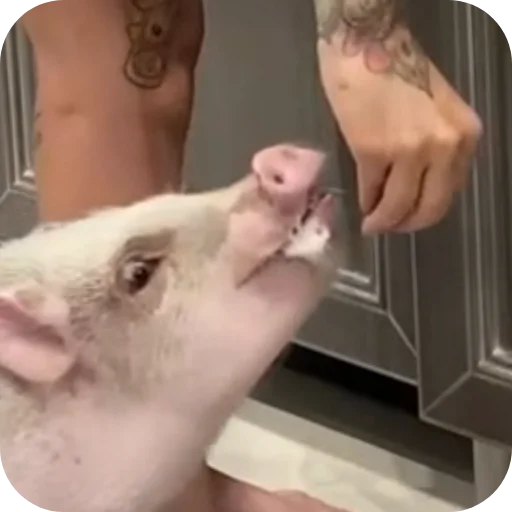 Стикер FilippKarterovich - 1