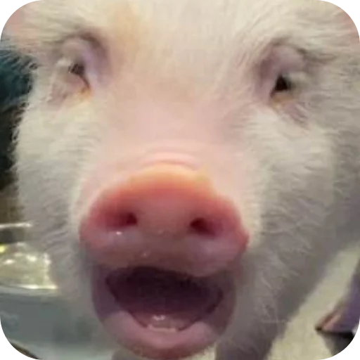 Sticker FilippKarterovich - 1