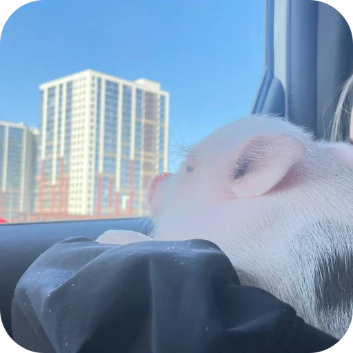 Sticker FilippKarterovich - 1