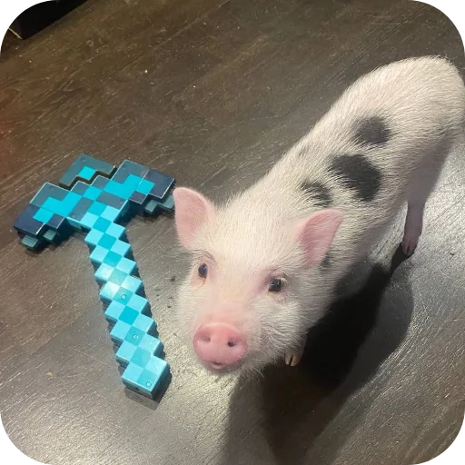 Sticker FilippKarterovich - 1