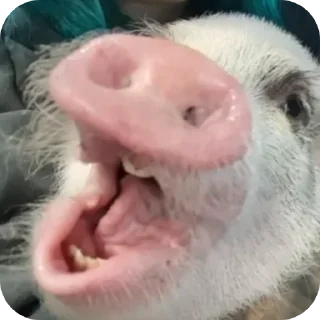 Sticker Филипп Картерович - 8