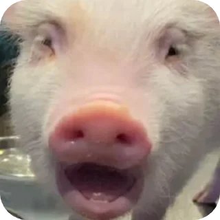 Sticker Филипп Картерович - 3