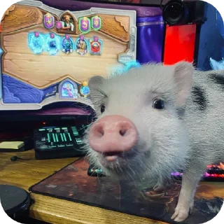 Sticker Филипп Картерович - 10