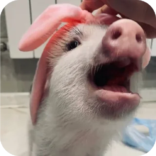 Sticker Филипп Картерович - 7