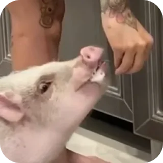 Sticker Филипп Картерович - 4