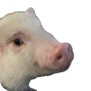 Sticker Филипп Картерович - 1