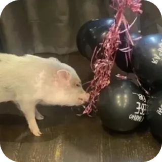 Sticker Филипп Картерович - 6