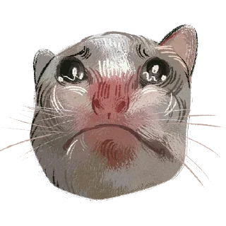 Стикер Котомемы от FILKIT - 2