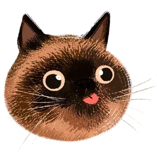 Стикер Котомемы от FILKIT - 0