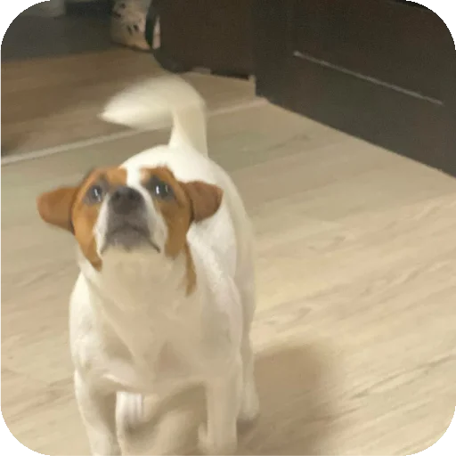 Фиона Викторовна - 