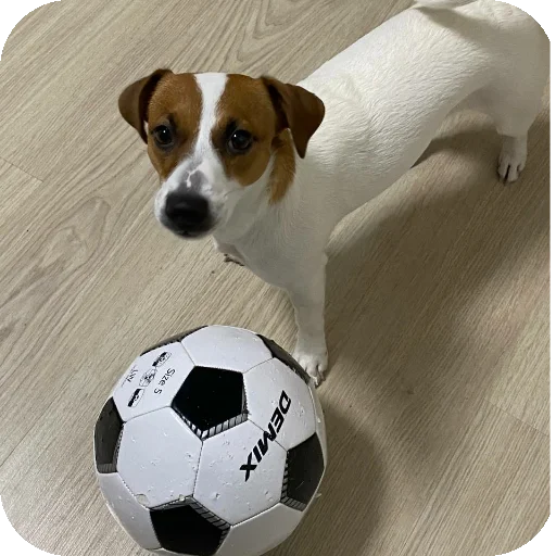 Sticker FionaViktorovna - 1