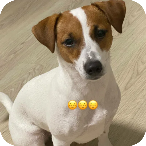 Стикер FionaViktorovna - 1