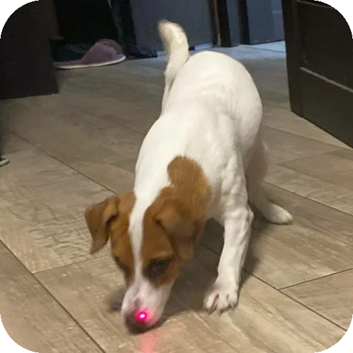 Sticker FionaViktorovna - 1