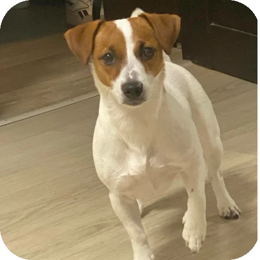 Sticker FionaViktorovna - 1