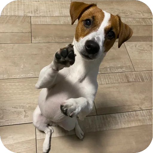 Sticker FionaViktorovna - 1