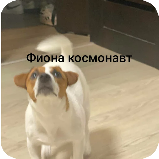 Стикер FionaViktorovna - 1