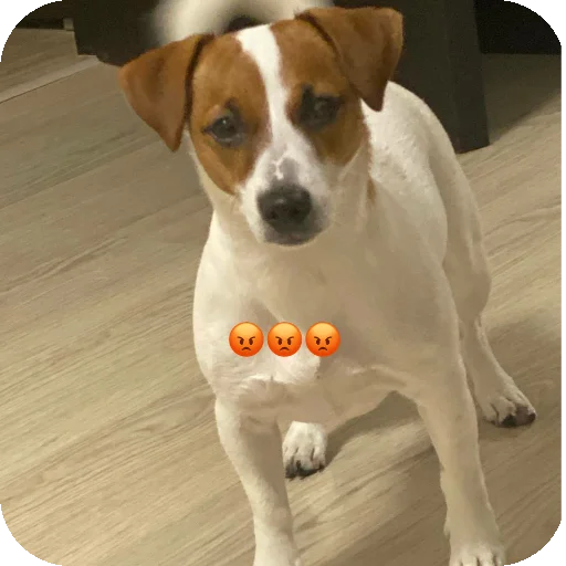 Sticker FionaViktorovna - 1