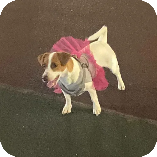 Sticker FionaViktorovna - 1