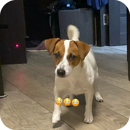 Sticker FionaViktorovna - 1