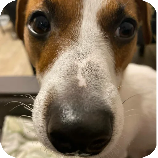 Sticker FionaViktorovna - 1