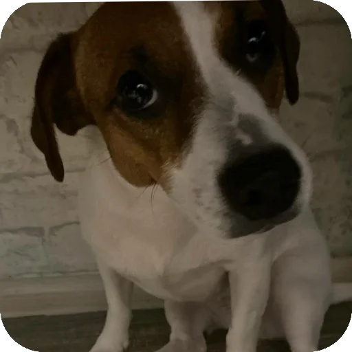 Стикер FionaViktorovna - 1