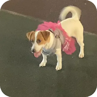 Sticker Фиона Викторовна - 0