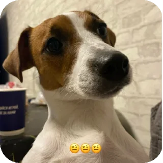 Sticker Фиона Викторовна - 9