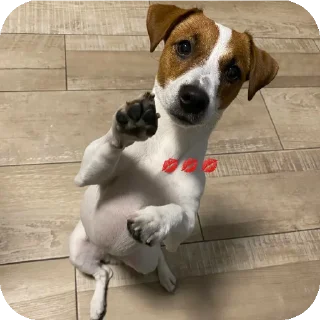 Sticker Фиона Викторовна - 6