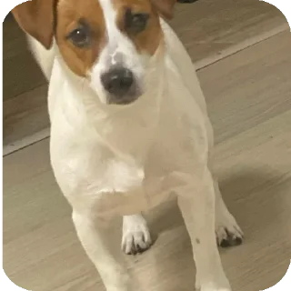 Sticker Фиона Викторовна - 1