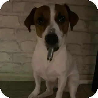 Sticker Фиона Викторовна - 4