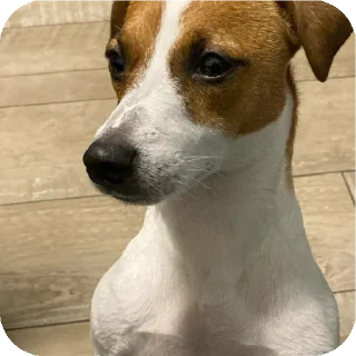 Sticker Фиона Викторовна - 5