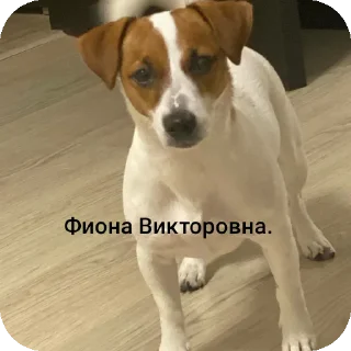 Sticker Фиона Викторовна - 11