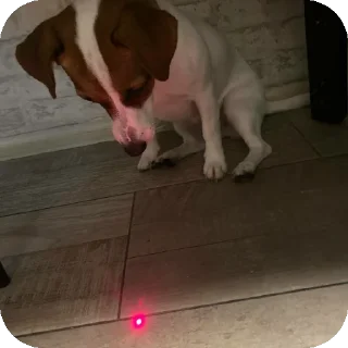 Sticker Фиона Викторовна - 8