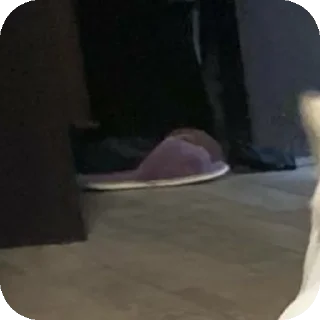 Sticker Фиона Викторовна - 3