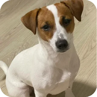 Sticker Фиона Викторовна - 2